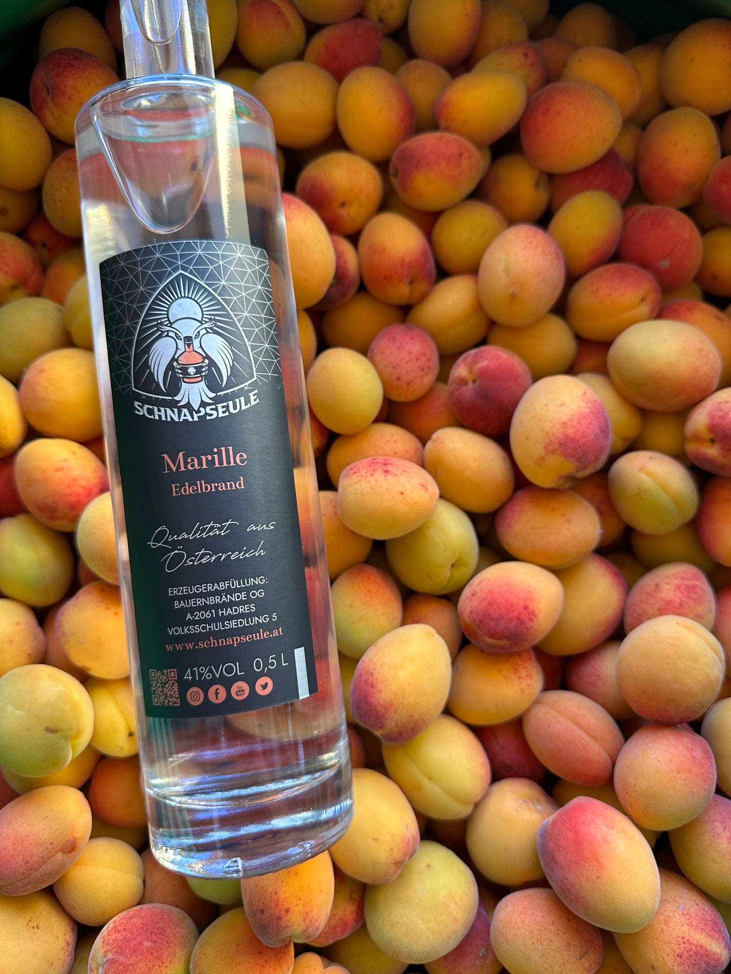 Marille - Aprikose Edelbrand Schnapseule Schnaps Ungarische Beste